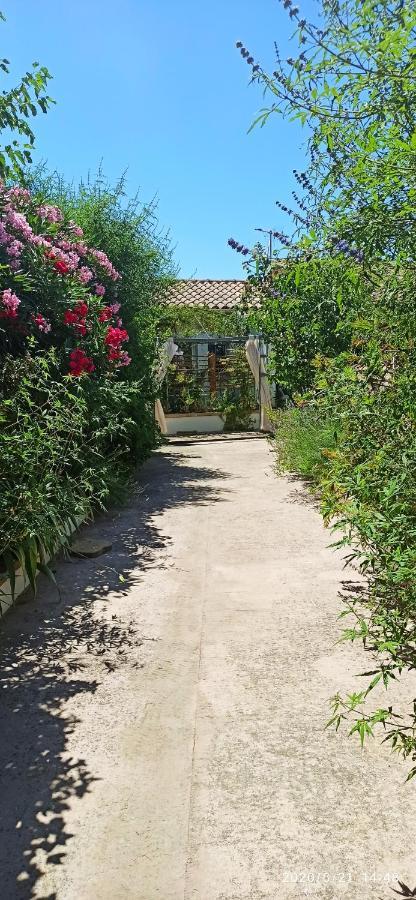 Secret Garden - Chez Gilles Et Tra - Maison D Hote -T2 Super Mignon, Neuf Et Independant , Dans Cadre Agreable Et Zen Valergues Dış mekan fotoğraf